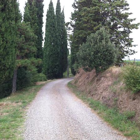 Agriturismo Fattoria Di Gratena Arezzo Exteriör bild