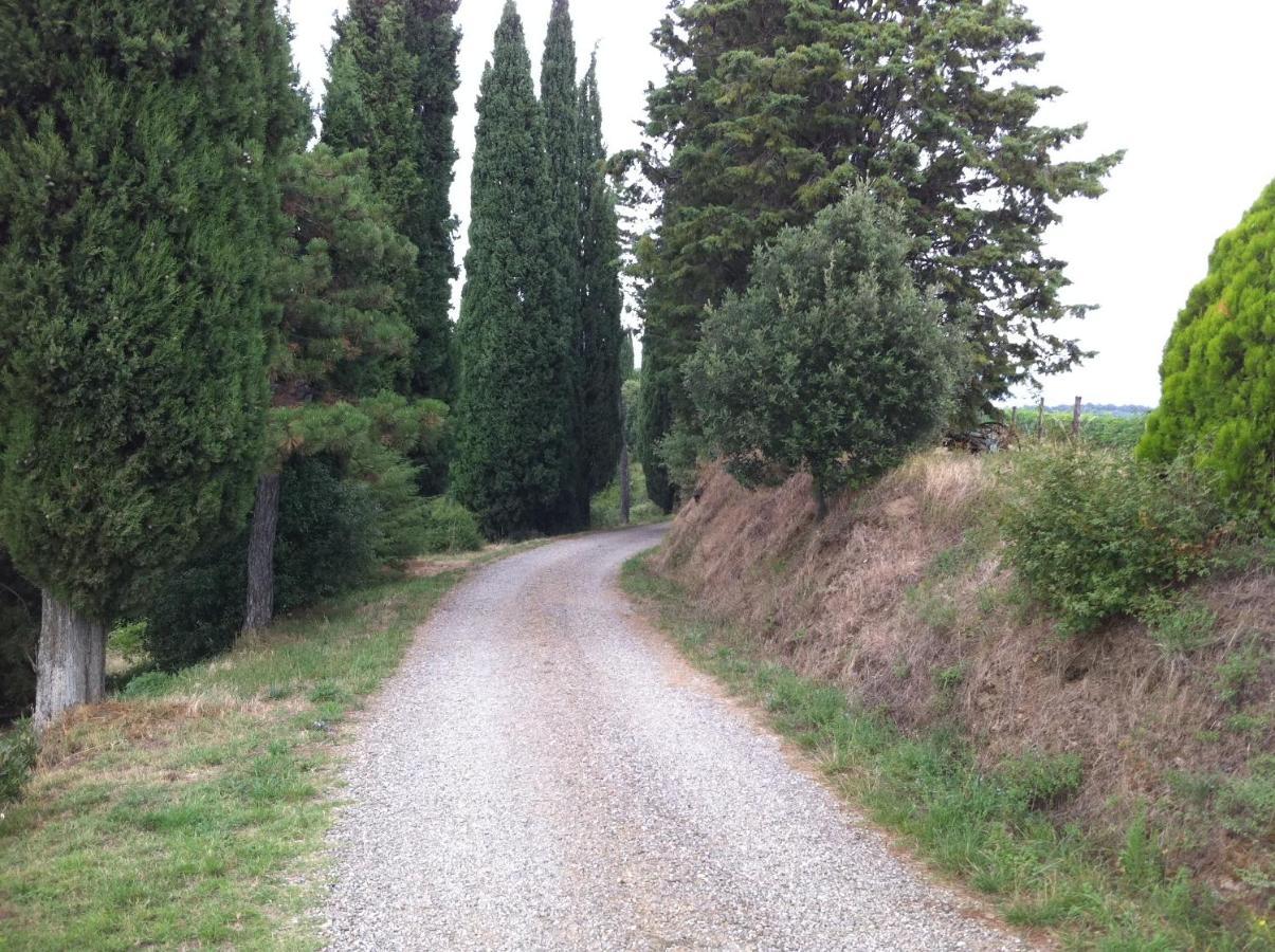 Agriturismo Fattoria Di Gratena Arezzo Exteriör bild