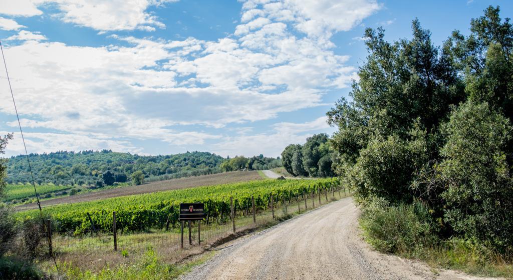 Agriturismo Fattoria Di Gratena Arezzo Exteriör bild