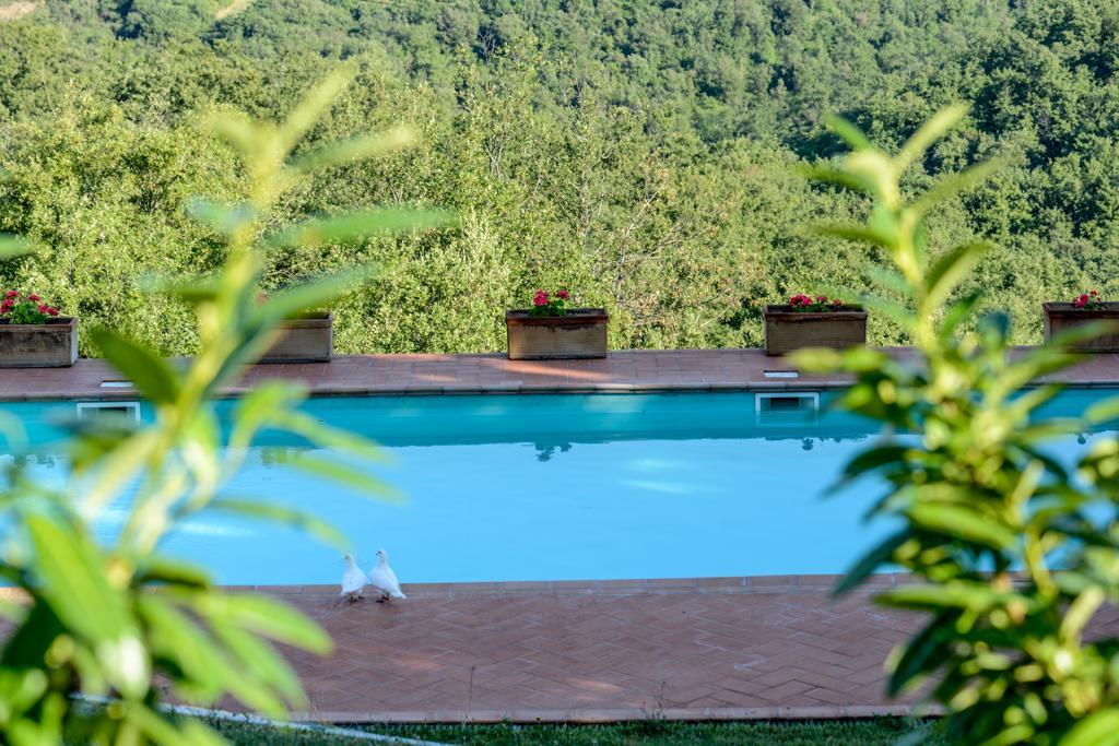 Agriturismo Fattoria Di Gratena Arezzo Exteriör bild
