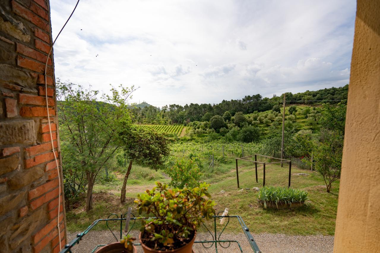 Agriturismo Fattoria Di Gratena Arezzo Exteriör bild