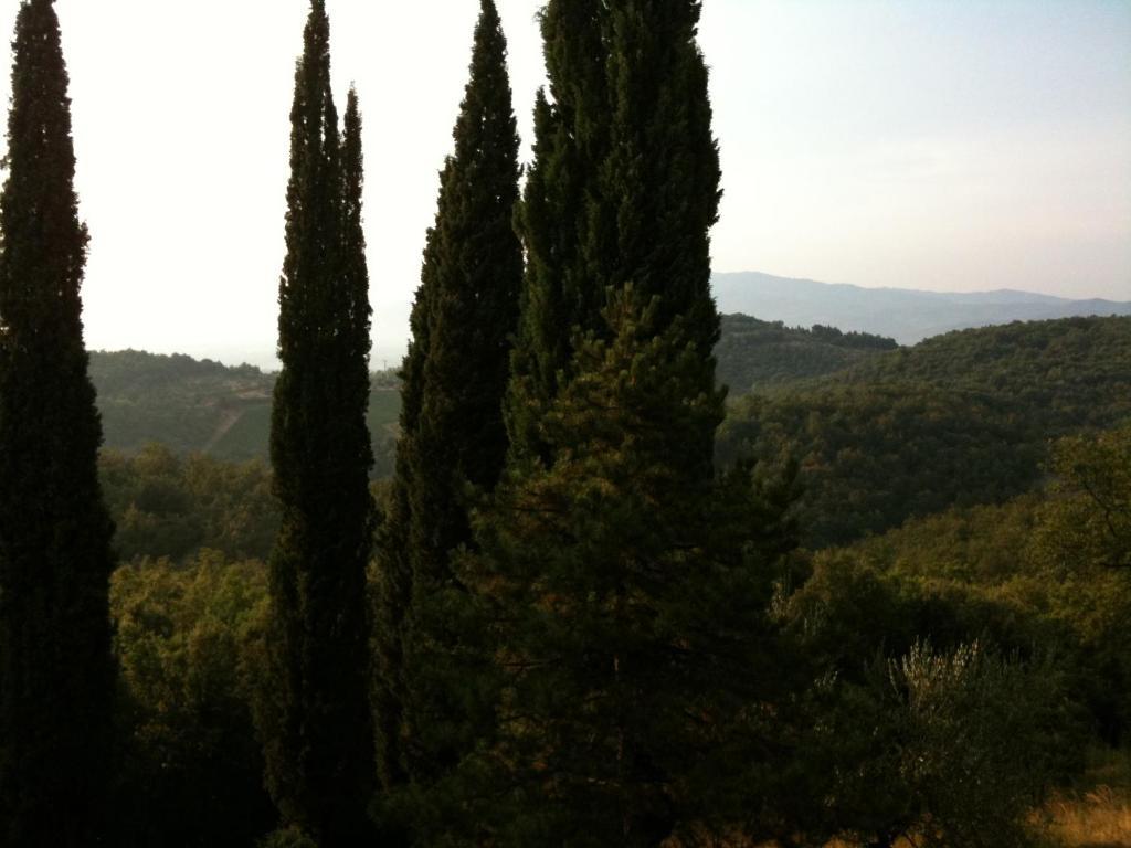 Agriturismo Fattoria Di Gratena Arezzo Exteriör bild