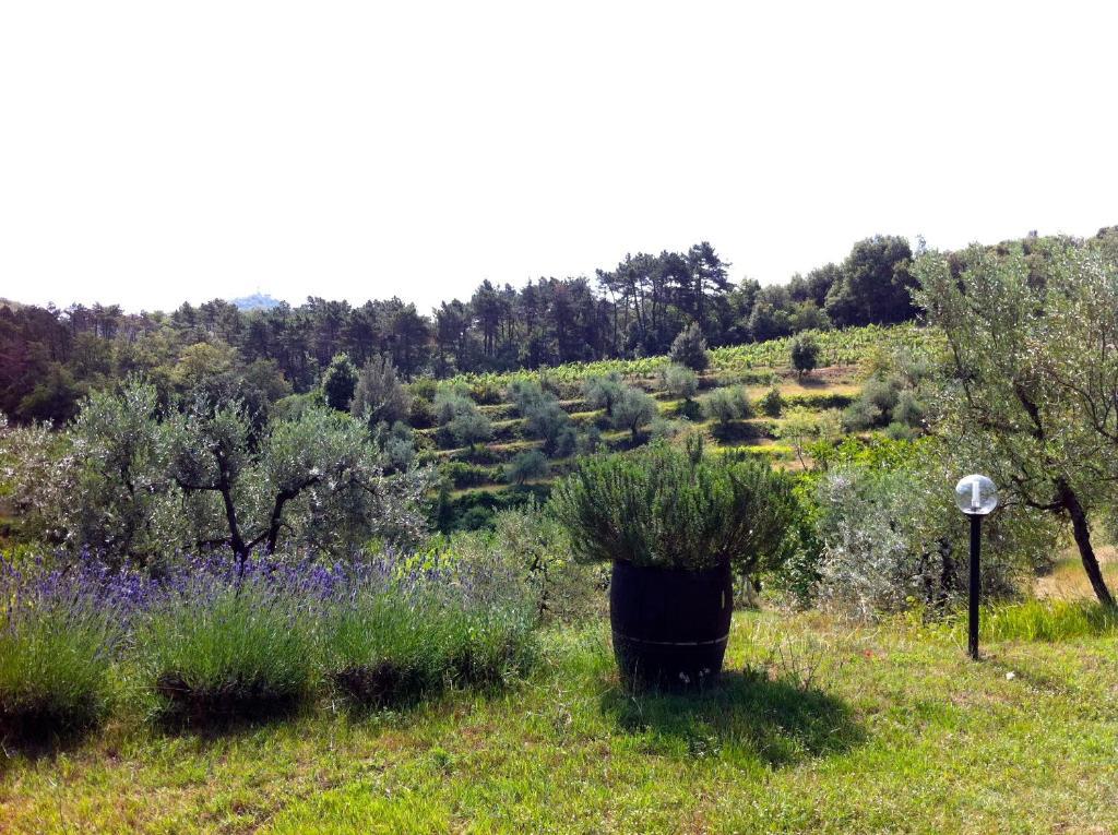 Agriturismo Fattoria Di Gratena Arezzo Exteriör bild